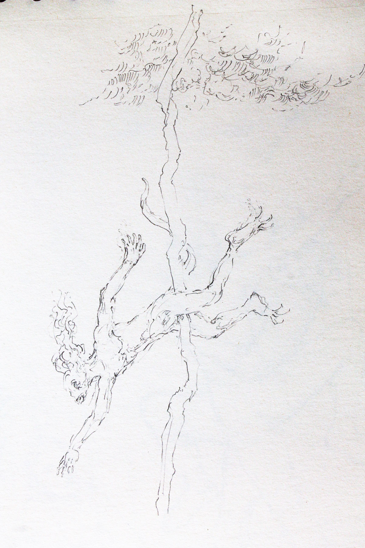 Chevaucher la foudre, 2012, mine de plomb, 20 x 12 cm