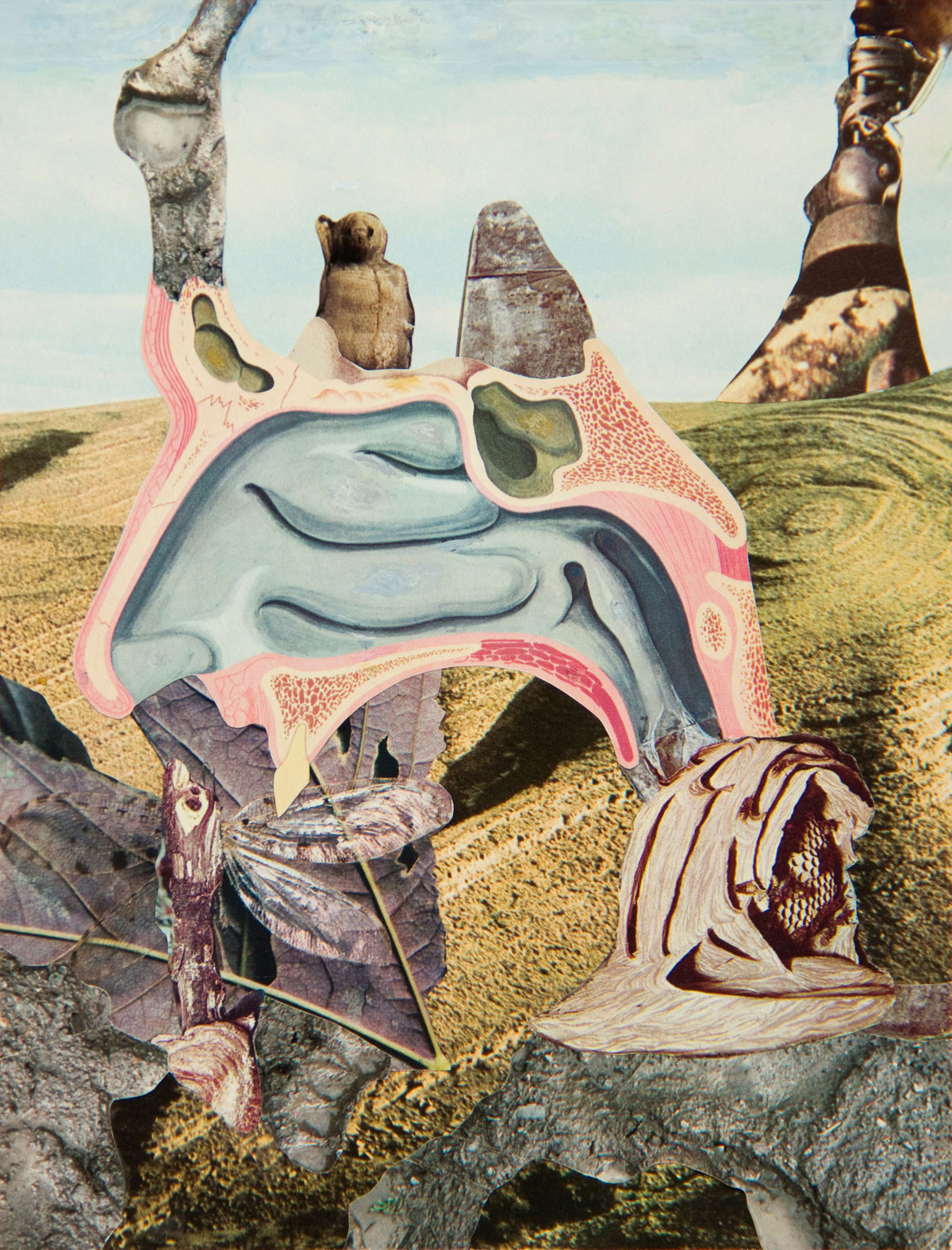 Philippe Briard - Les Paysages anatomiques, 1995, collage et acrylique, 30 x 24 cm 
